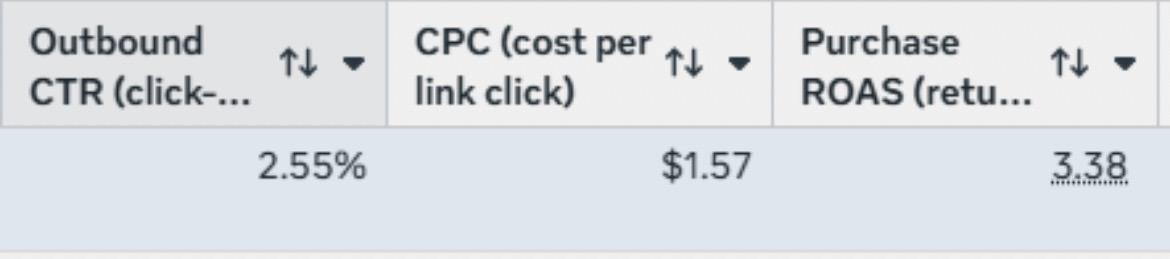 2.55% CTR, 3.38 ROAS