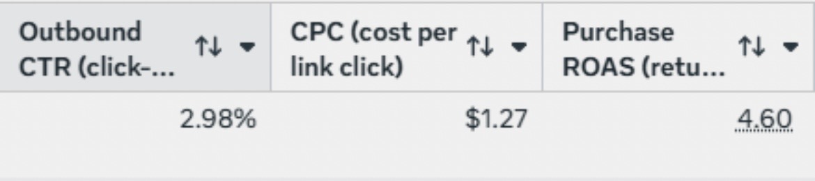 2.98% CTR, 4.60 ROAS